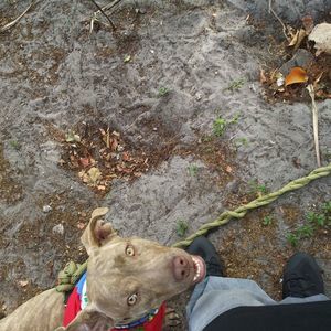 Meet your Posher, Jayson